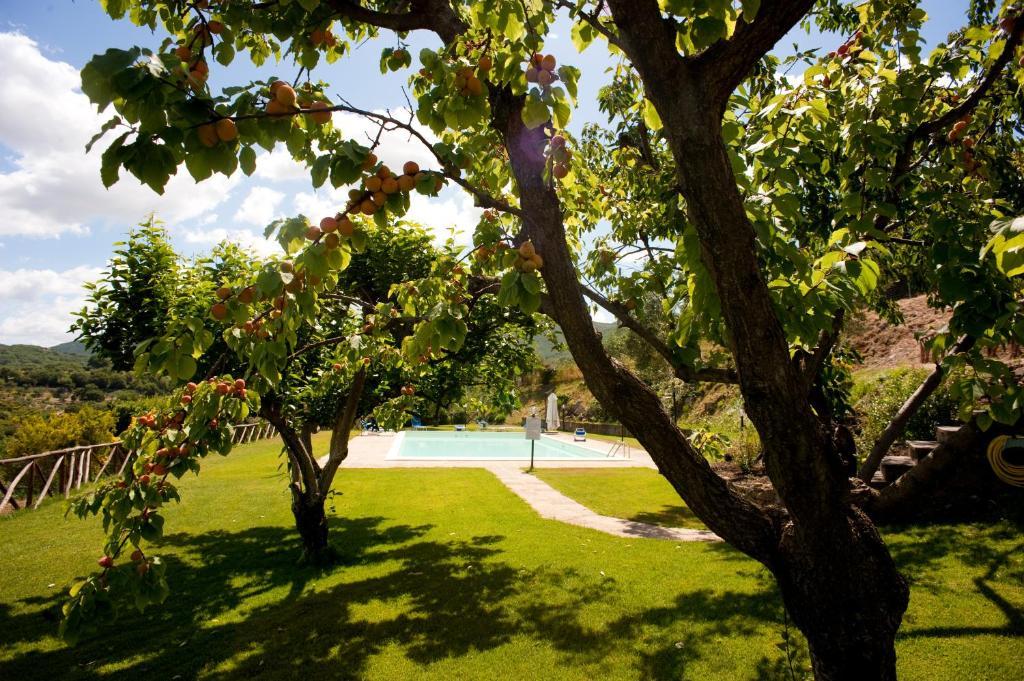 La Cianella - Adult Only Villa Скарлино Екстериор снимка